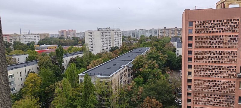 Titan, Costin Georgian.